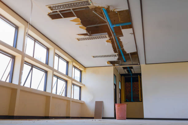 Best Water damage restoration near me  in Big Bear City, CA