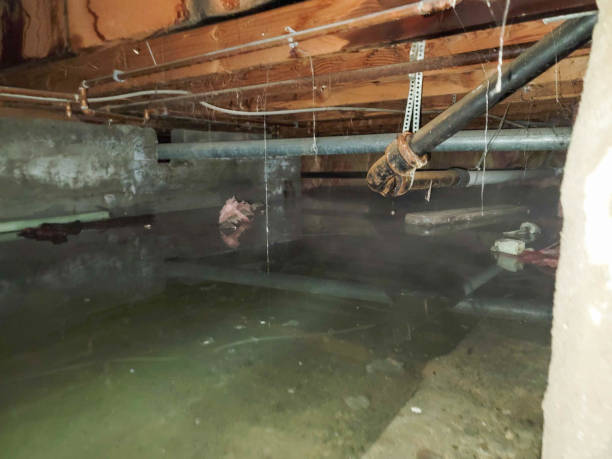 Best Water damage restoration near me  in Big Bear City, CA