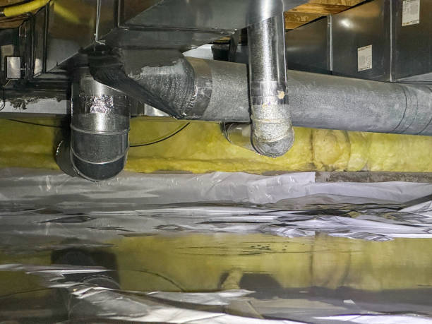 Best Flood restoration services  in Big Bear City, CA