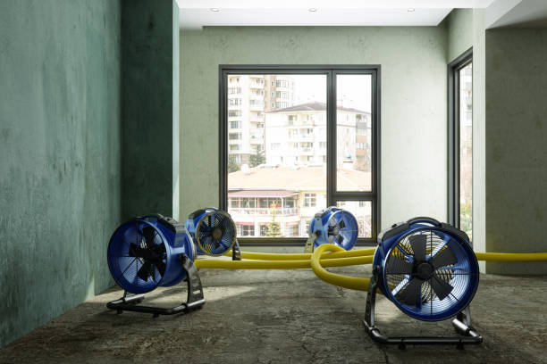 Best Fire Damage Restoration  in Big Bear City, CA